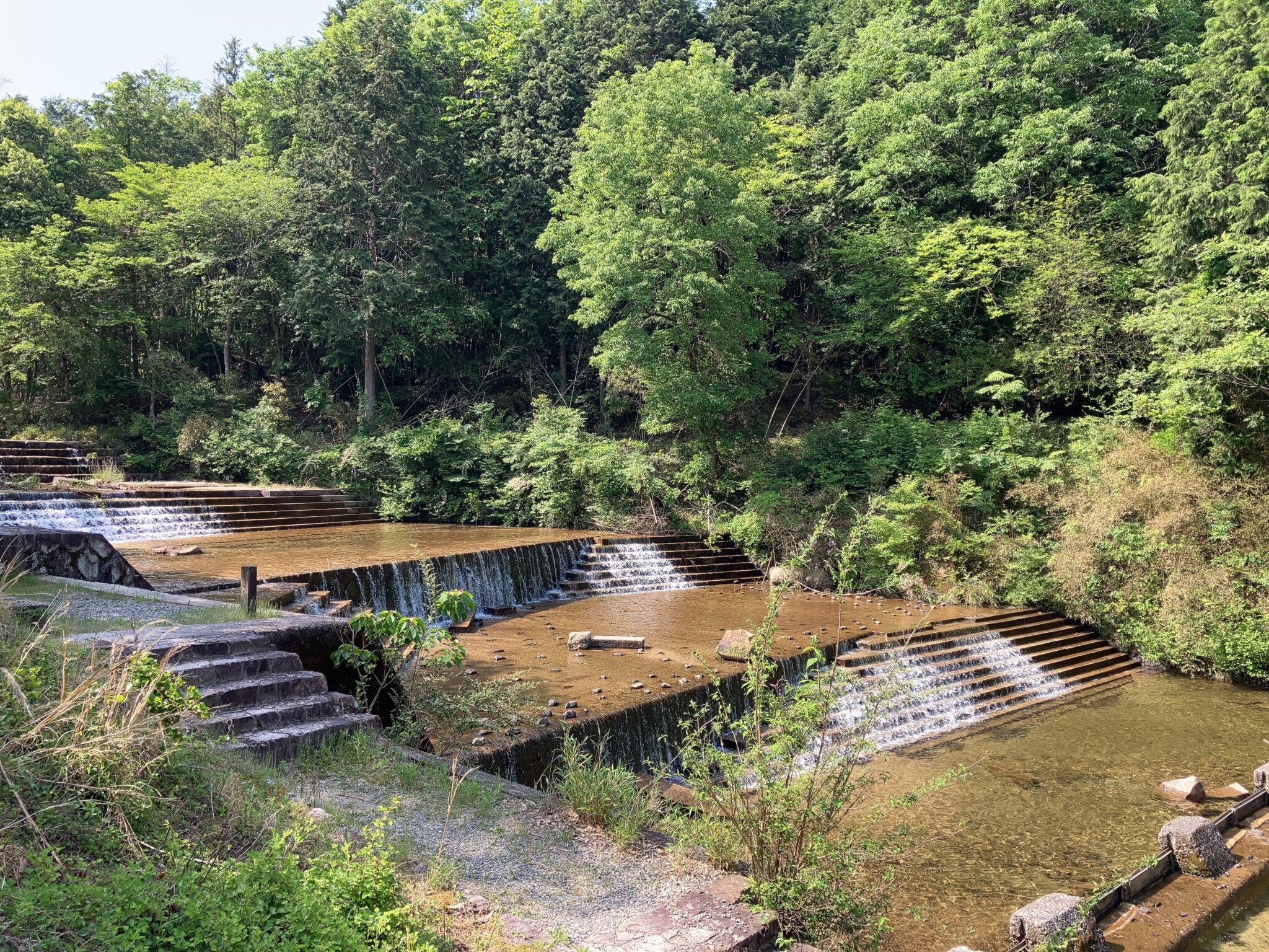 【大津市 川遊び】オランダ堰堤って何だっ！？夏の水遊びに大人気スポット・滋賀 草津川上流・おらんだえんてい しがそび Shigasobi 8638